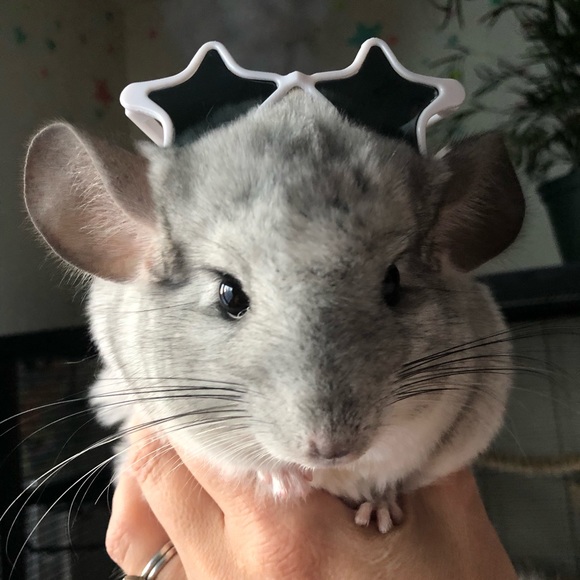 princessjessi22